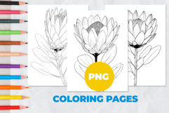 Tropical flower Coloring Pages | Coloring book Product Image 1