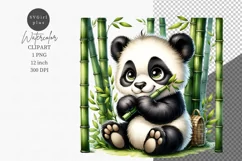 Animals clipart, Panda clipart, Nursery clipart Product Image 1