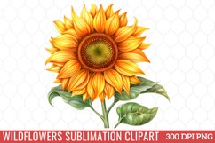 Wildflowers Sublimation Clipart Product Image 1