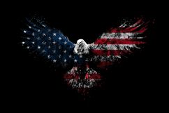 Eagle Flag 4th of July Product Image 1