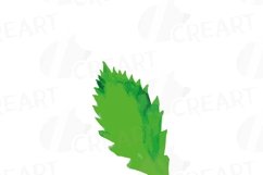 Green leaves and branches watercolor clip art pack, hand painted leafs collection. PNG, jpg, svg, vector illustrator &amp; corel files included Product Image 4