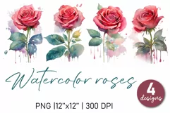 Watercolor rose flower sublimation PNG | 4 designs Product Image 1