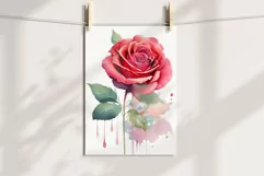 Watercolor rose flower sublimation PNG | 4 designs Product Image 2