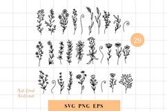 Wildflowers botanical illustrations bundle | Florals SVG Product Image 2