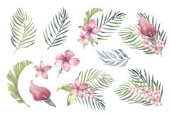 Watercolor Tropical Clipart. Product Image 2