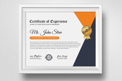 Professional Word Certificate Product Image 2