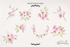 Magnolia Floral 8 Bouquets Watercolor Flowers Pink Lime Product Image 4