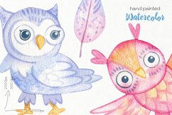 Watercolor Owls Clipart - PNG Files Product Image 3