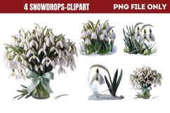 Snowdrops Clipart PNG Product Image 1