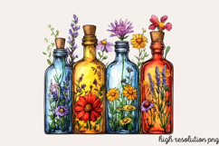 Summer Decorations Clipart PNG Product Image 1