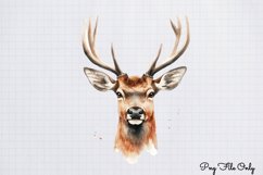 Watercolor Reindeer Clipart PNG Product Image 1