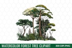 Watercolor Forest Tree Clipart Product Image 1