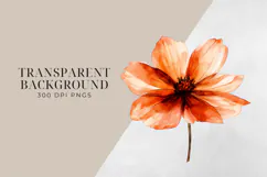 Watercolor Terracotta Flowers Clipart, PNG. Product Image 2
