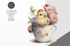 Chick clipart, Farm animals clipart, Watercolor clipart Product Image 1