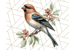Vintage Song Bird Clipart PNG, Botanical Bird Art Clip Art Product Image 4