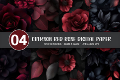 Crimson Red Rose Digital Paper Product Image 1