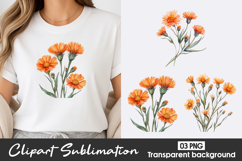 Orange Floral Watercolor Clipart PNG Product Image 1