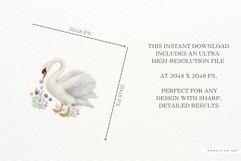 Summer Lake Swan Clipart Product Image 5