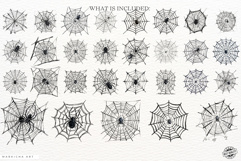 Gothic Spider Web Clipart Product Image 4