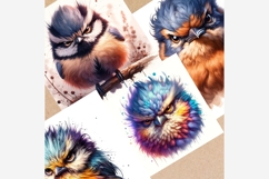 Angry Grumpy Birds Clipart Bundle | 13 JPEG Files Product Image 2