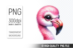 Cute Flamingo Clipart PNG, Printable Animals, Wildlife Desig Product Image 1
