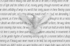 Inklio Handwritten Quirky Typeface Product Image 27