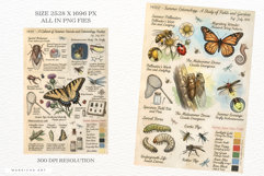 Summer Insects Junk Journal Pages Product Image 3