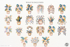 Charm Summer Houseplant Clipart Product Image 4