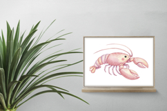 Pink Ocean Lobster Marine Animal Delicious Seafood PNG Product Image 2