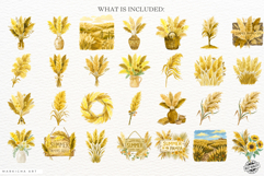 Summer Pampas Grass Clipart Product Image 4
