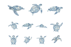 Summer Sea Turtle Clipart Product Image 8