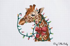 Christmas Giraffes Clipart PNG Product Image 1