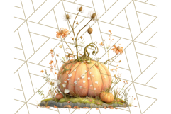 Pumpkin Clipart with Fall Flowers PNG Autumn Illustration Product Image 4