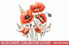 Wildflowers Sublimation Clipart Product Image 1