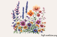 Wildflowers Arrangements Clipart Bundle PNG Product Image 10