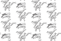Line art seamless pattern with garden birds vector illustrat Product Image 1