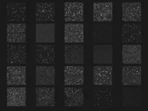 100 WINTER SNOW TRANSPARENT PNG FILES, PHOTOSHOP OVERLAYS Product Image 5