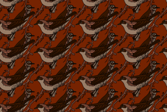Line art seamless pattern with garden birds vector illustrat Product Image 1