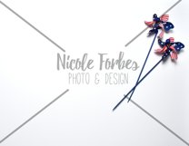 American Lay Flat Style Photo Bundle Product Image 2