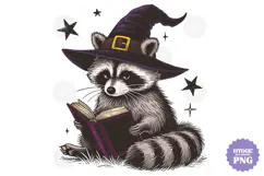 Vintage Funny Sarcastic Feral Witch Raccoon Halloween PNG Product Image 1
