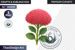 Flower Clipart PNG, Botanical Illustration Floral graphic Product Image 1