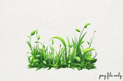 Watercolor Grass Borders Clipart PNG Product Image 1