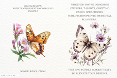 Spring Butterfly Clipart Product Image 2