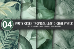 Dusty Green Tropical Leaf Digital Paper Product Image 1
