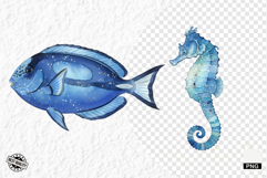 Watercolor Sea Life PNG Clipart Product Image 1