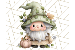 Fall Gnome Clipart PNG Cute Thanksgiving Gnomes Product Image 5