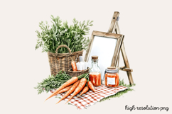 Carrot Watercolor Clipart PNG Product Image 1