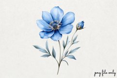 Wild flowers butterflies and dragonfly Clipart PNG Product Image 1
