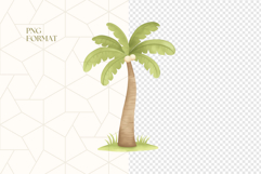 Jungle Trees Clipart PNG Product Image 4