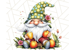 Summer Garden Gnomes Clipart PNG, Summer Country Gnomes Png Product Image 5